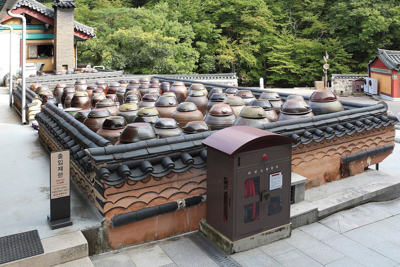 通度寺の醤甕台に並ぶ甕