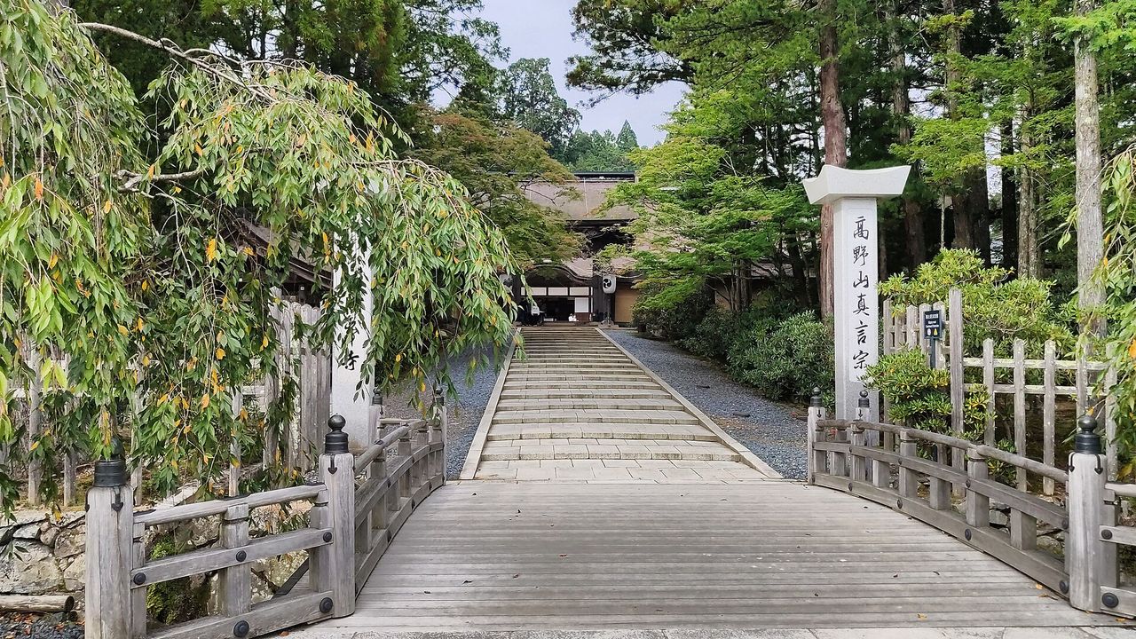 Kongobuji Temple on Mount Koya, seen across a wooden bridge and stone steps among trees