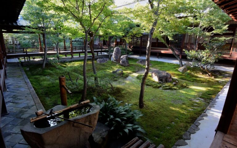 建仁寺的苔庭與石製洗手缽