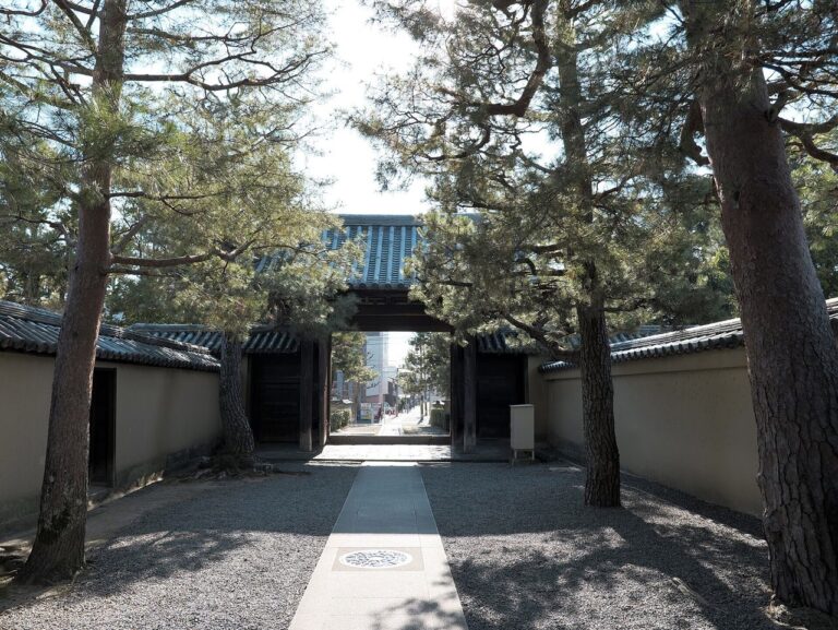 A gate and stone-paved path among pine trees within the Daitoku-ji grounds in Kyoto