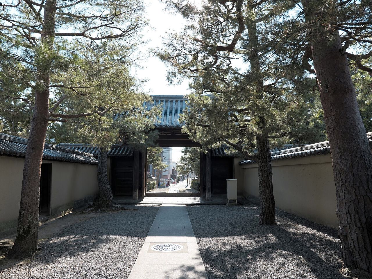 松に囲まれた京都・大徳寺の境内にある門と、まっすぐ延びる石畳の参道